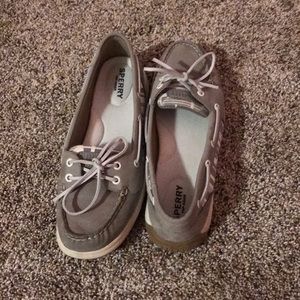 Grey spereys